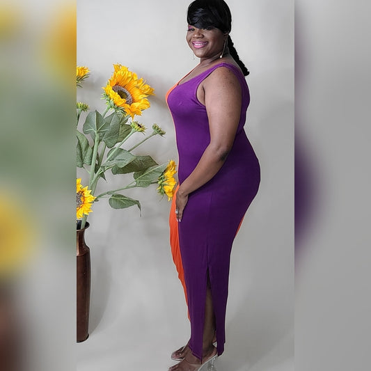 Regina Color Block Dress