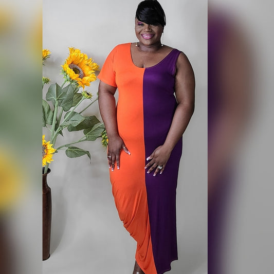 Regina Color Block Dress